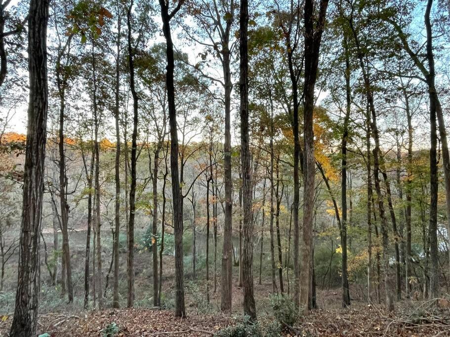 Riverfront Retreat: Luxury Family With Entertainment Galore Athens