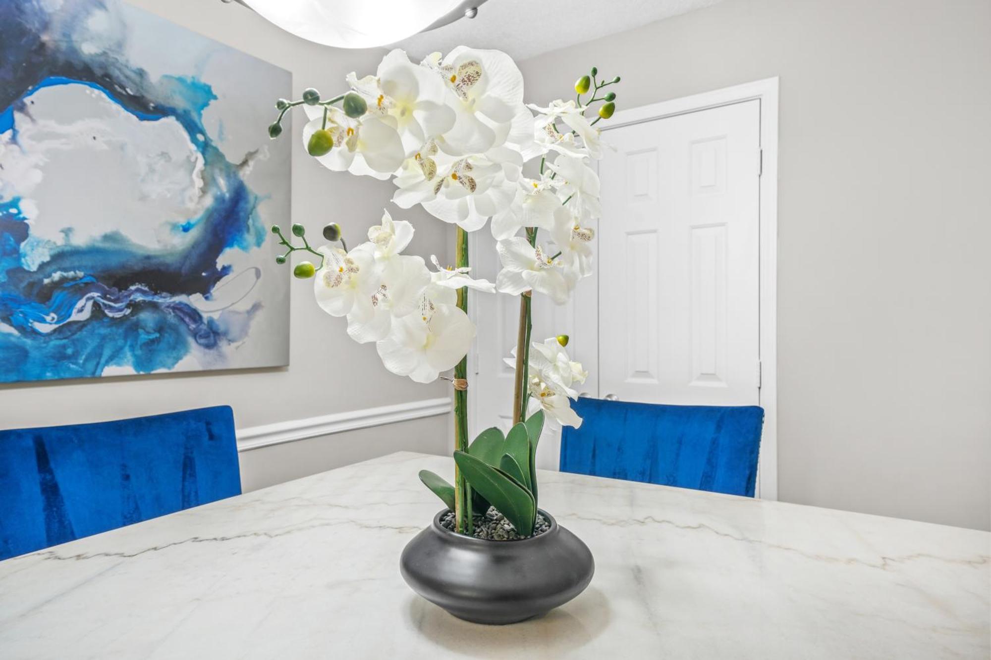 Lux 3br, Prime Location Near Uga & Downtown