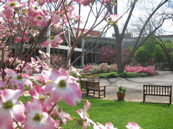 Hotel The Of Georgia Center For Continuing Education & 3*