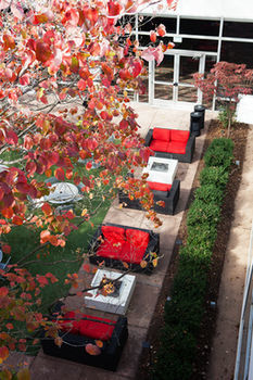 Hotel The Of Georgia Center For Continuing Education & 3*