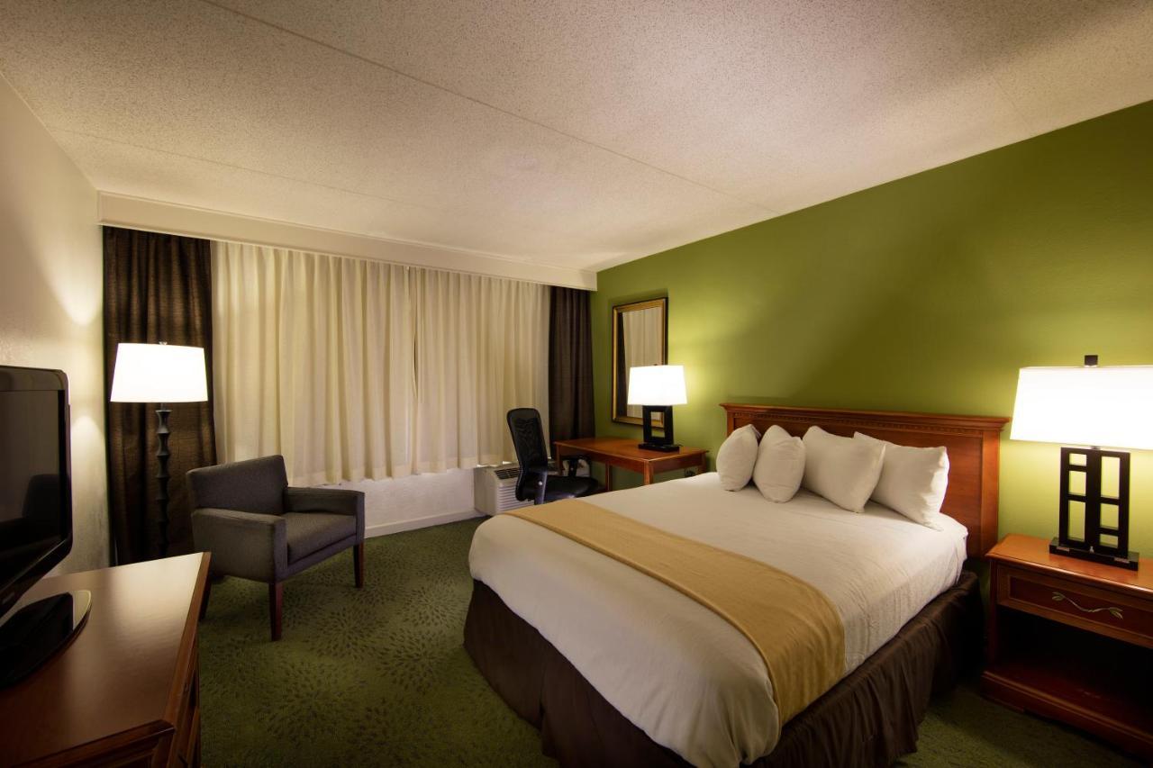 - Area Hotel 3*