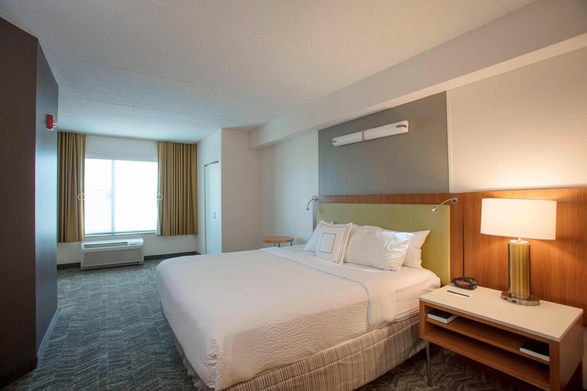 Springhill By Marriott West Hotel Athens